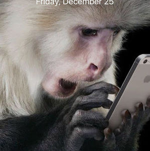 Meet your Posher, Susana